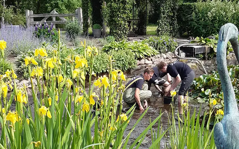 Onderhoud van vijvers en zwemvijvers