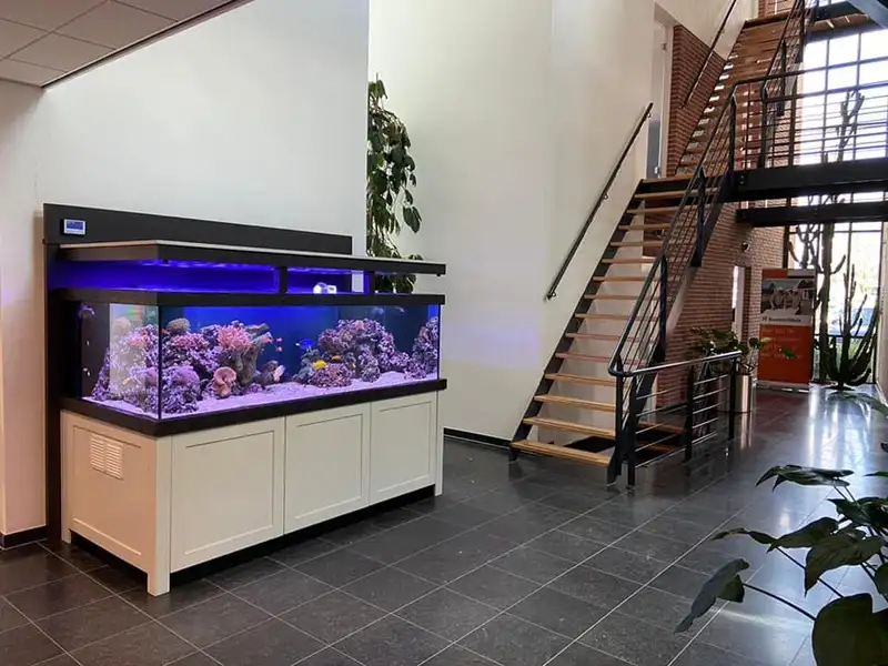 Zoutwateraquarium in Rijssen