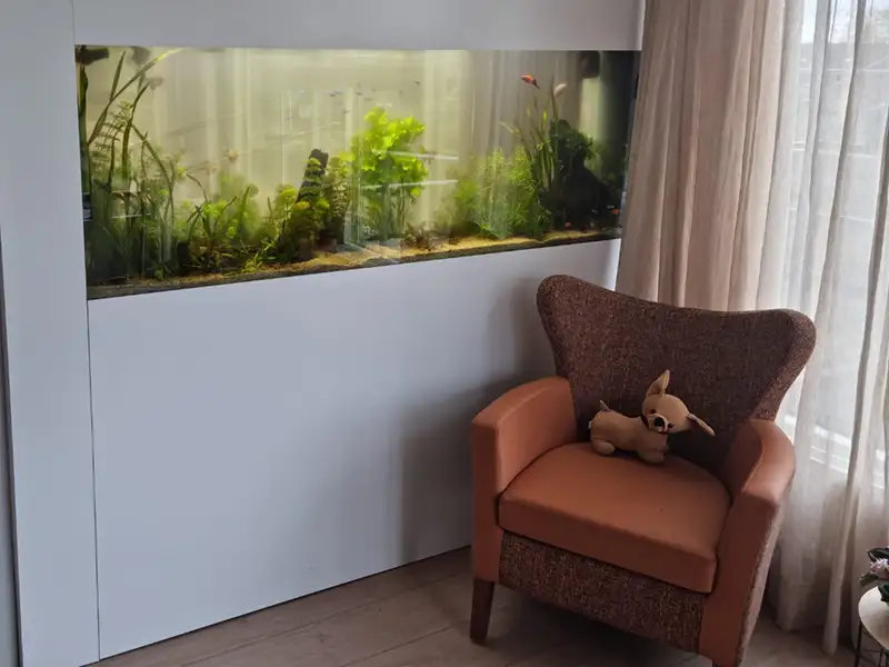 Zorgaquarium bij De Meente in Genemuiden Zorgaquarium bij De Meente in Genemuiden