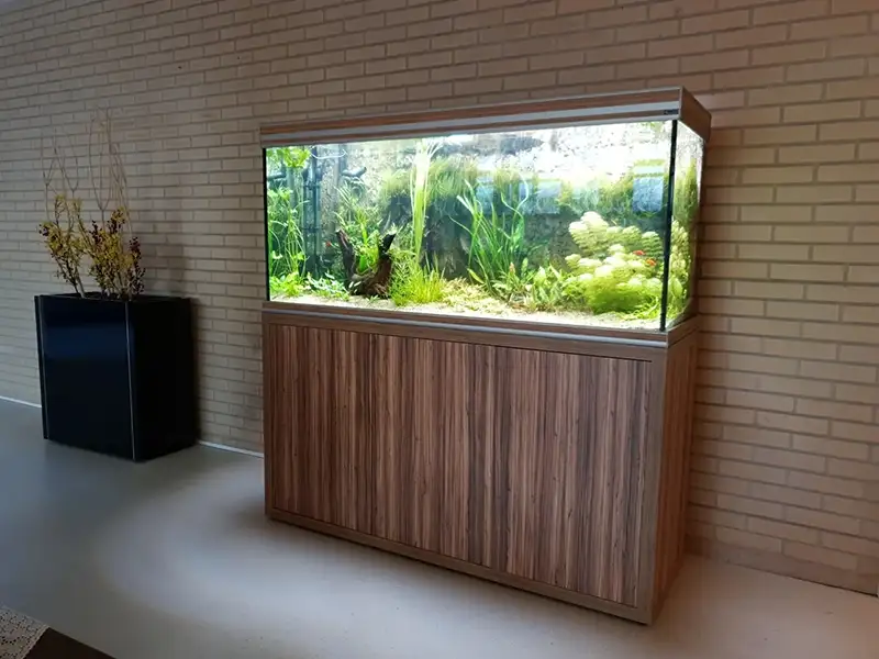 Zorgaquarium bij Hoog Schuilenburg in Almelo Zorgaquarium bij Hoog Schuilenburg in Almelo