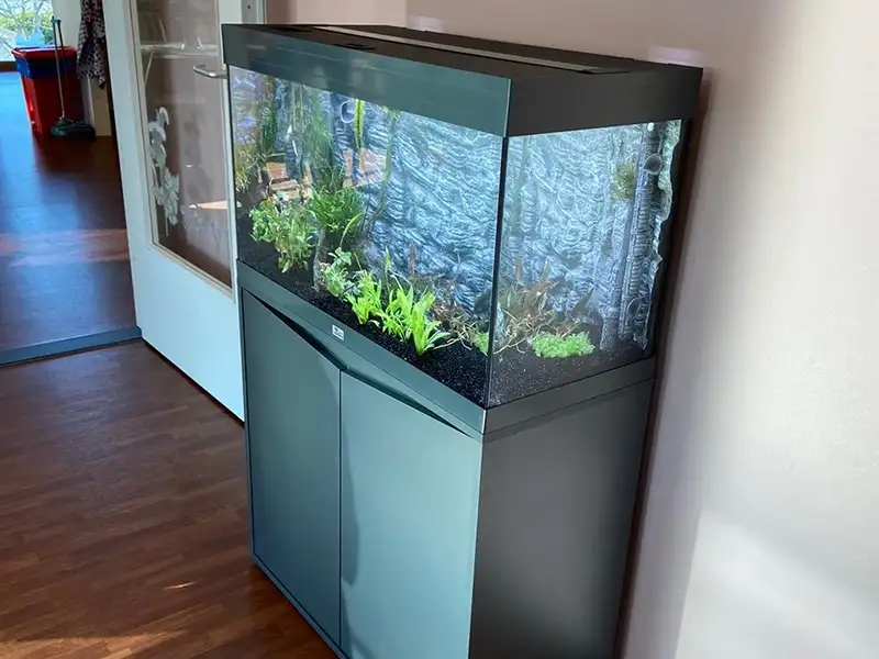 Zorgaquarium bij Topaz Vlietwijk in Voorschoten Zorgaquarium bij Topaz Vlietwijk in Voorschoten